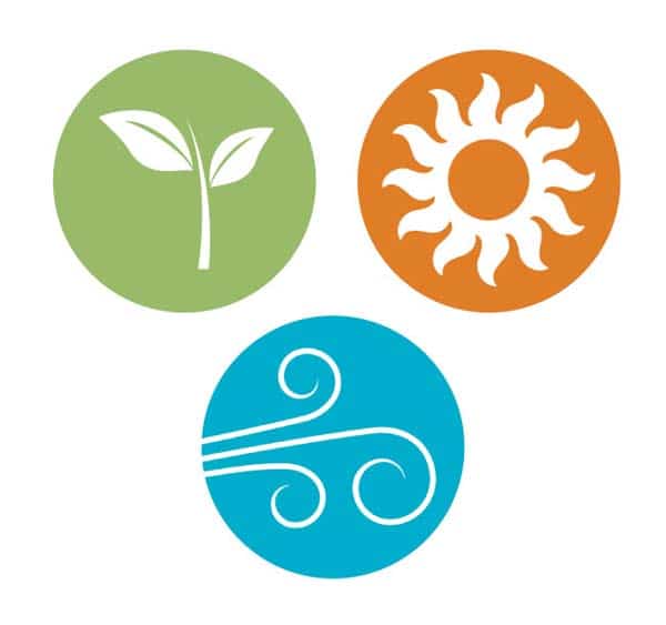 Constitución ayurveda