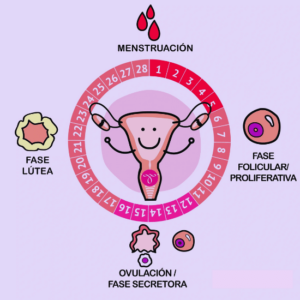 Ayurveda y la mujer