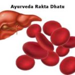 Rakta dhatu: Los siete dhatus (tejidos) en Ayurveda