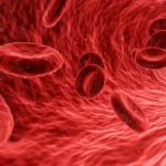 Dhatus: los siete tejidos en la medicina Ayurveda