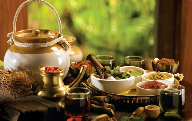 Conceptos de Ayurveda: Dr. Gaurang Joshi