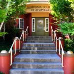 ¿Qué es un Profesional en Medicina Ayurveda? El Instrumento de la Sanación Integral