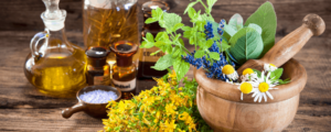 Ayurveda en la actualidad