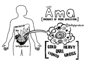 Ama Ayurveda