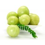 ¡El amla y el Ayurveda!