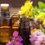 Ayurveda Sanando con los Opuestos