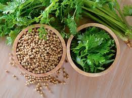 Cilantro Ayurveda