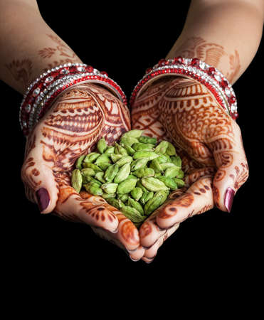 Ayurveda en Argentina