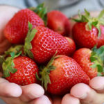 Fresas: Beneficios en Ayurveda