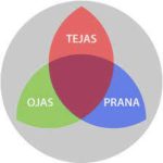 Humores mentales: prana, tejas y ojas