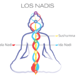 Nadis: Los Canales Invisibles que Conectan tu Mente y tu Cuerpo Sutil