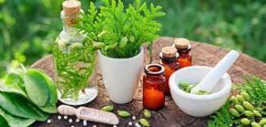 Salud ayurveda