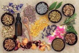Sabiduría ayurveda