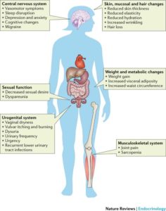 ayurveda y envejecimiento