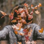 Los Vientos del dosha Vata (Receta Kitchari de Otoño y Prácticas Diarias)