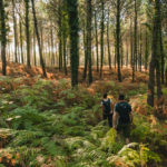 Baños de Bosque y Ayurveda