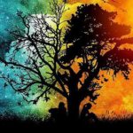 La ciencia de los ritmos circadianos y Ayurveda