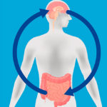 Eje intestino-cerebro y Ayurveda