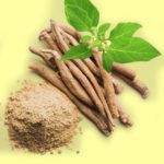 Ashwagandha y sus beneficios