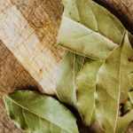 Laurel: propiedades y beneficios