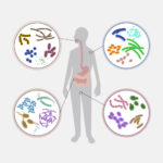 Microbioma y los Doshas