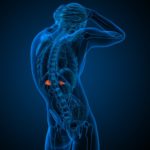 Ayurveda y la fatiga suprarrenal