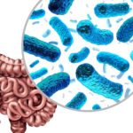 Cómo potenciar su microbioma intestinal