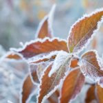 Rutina de invierno acorde al Ayurveda