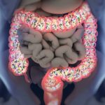 Microbios intestinales y salud