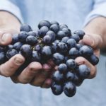 Resveratrol- Salud y longevidad