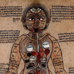 Ojas y Ayurveda: Principios fundamentales