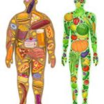 Diabetes y estilo de vida saludable