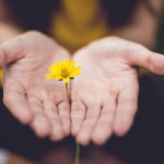 Cultivando la gratitud con Ayurveda