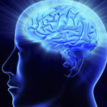 La conexión entre linfa y cerebro