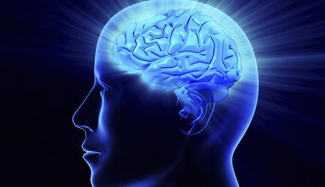 La conexión entre linfa y cerebro