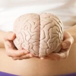 Cómo mejorar la función cerebral