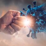 ¿Qué es Ojas y cómo se construye?