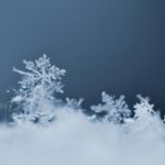Beneficios de la limpieza ayurvédica de invierno