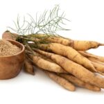 Beneficios curativos de Shatavari