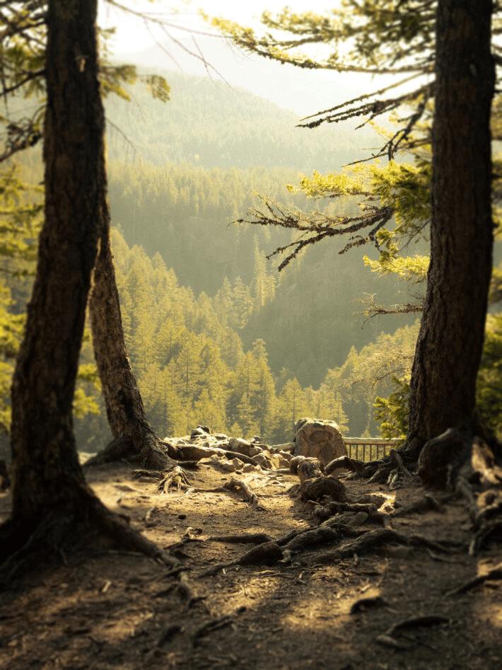 Grounding para la inflamación y el estrés